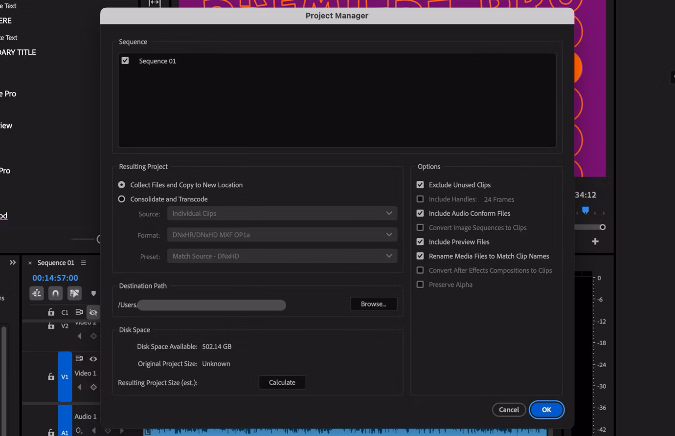 Окно Project Manager в Adobe Premiere с выбором sequences и параметрами консолидации