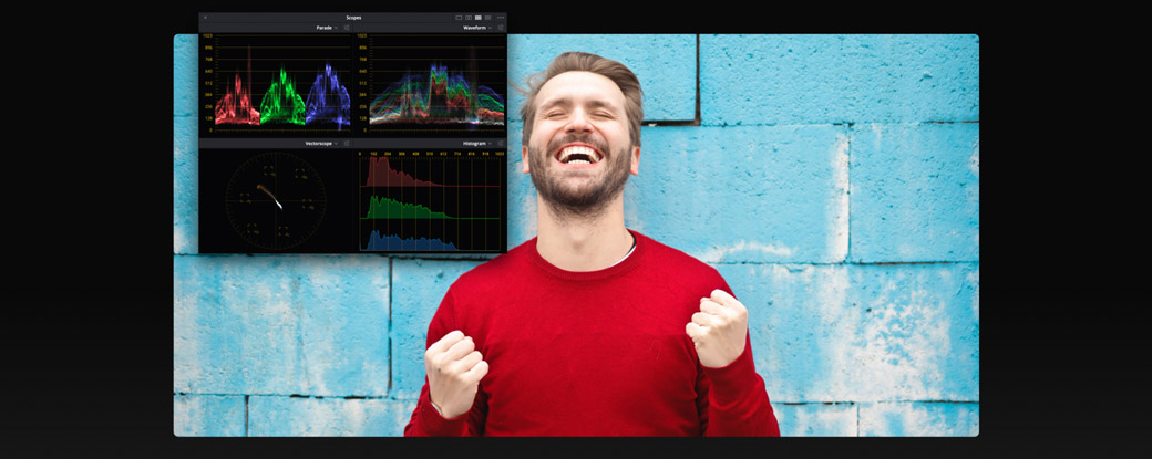 Набор scopes DaVinci Resolve: parade, waveform, vectorscope и histogram