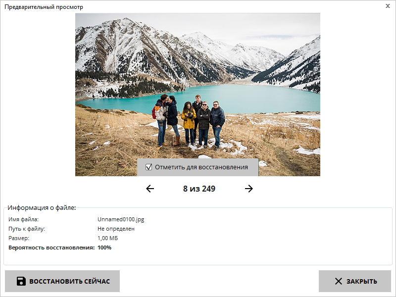 Предварительный просмотр фотографии в Фениксе с информацией о файле и вероятностью восстановления