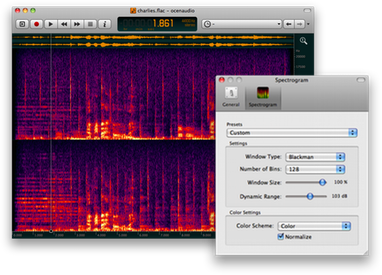 Ocenaudio со спектрограммой и окном параметров Spectrogram